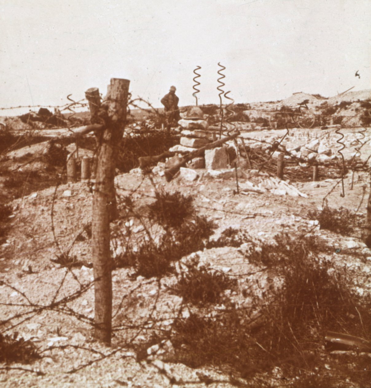 铁丝网，法国北部克罗讷（Craonne），c1914-c1918 作者 不明