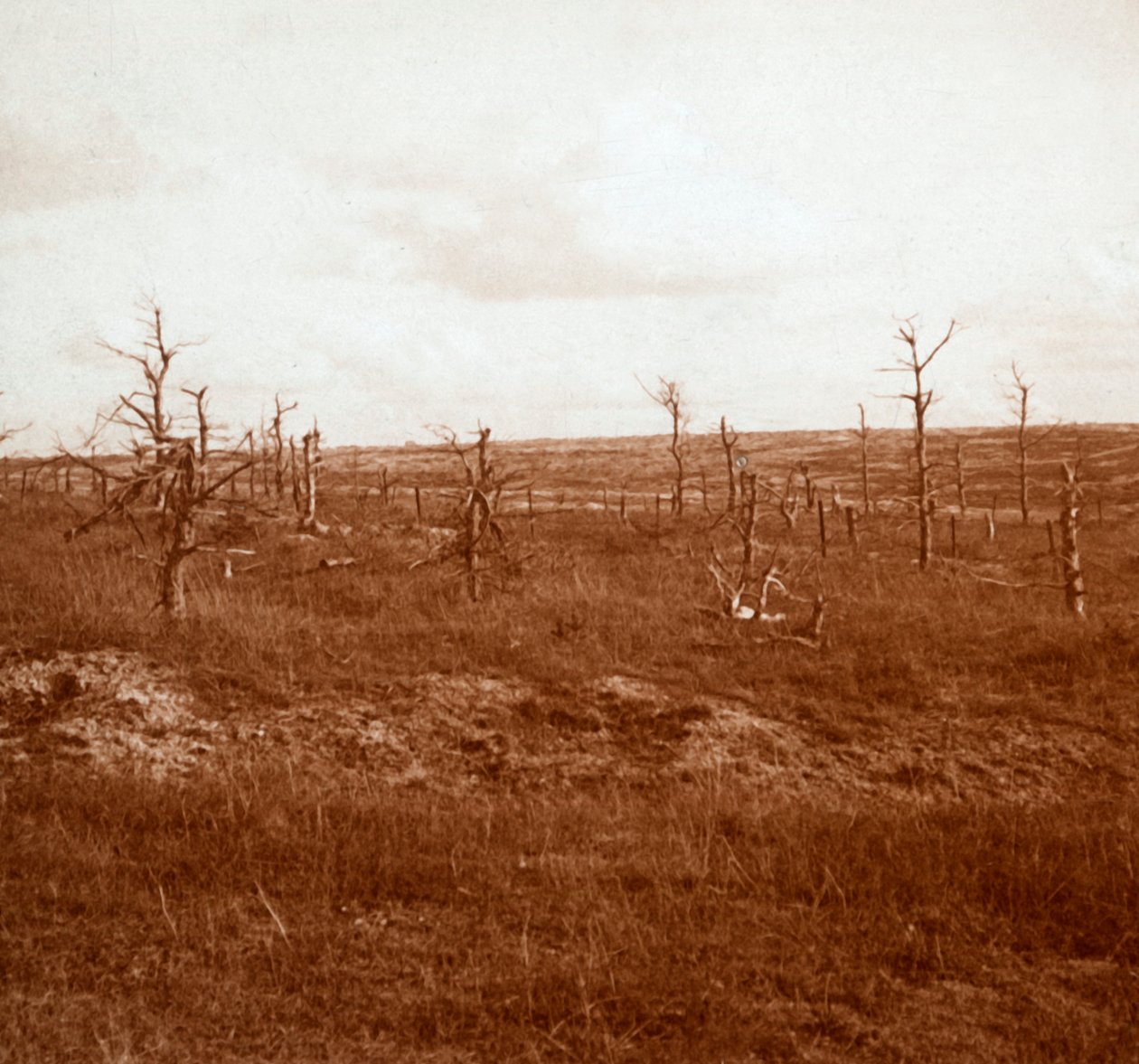 法国北部塔胡雷战场，c1914-c1918 作者 不明