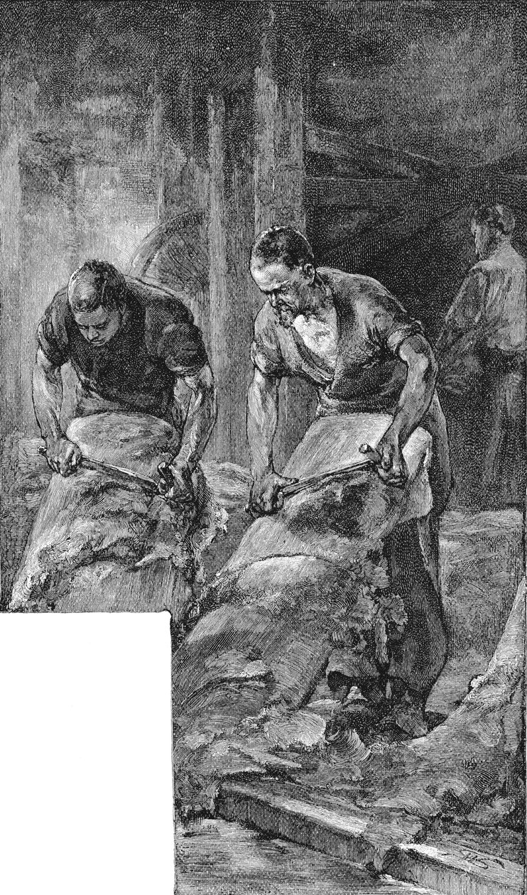 喜来登皮革用于生产鞋革，1885年 作者 不明