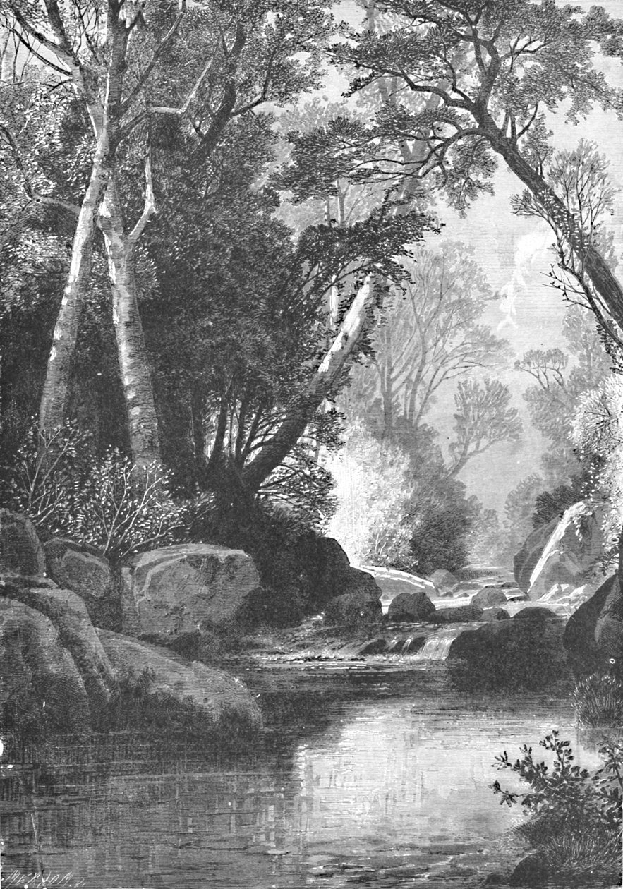 缅因州伯特利附近的熊河，1883年 作者 不明
