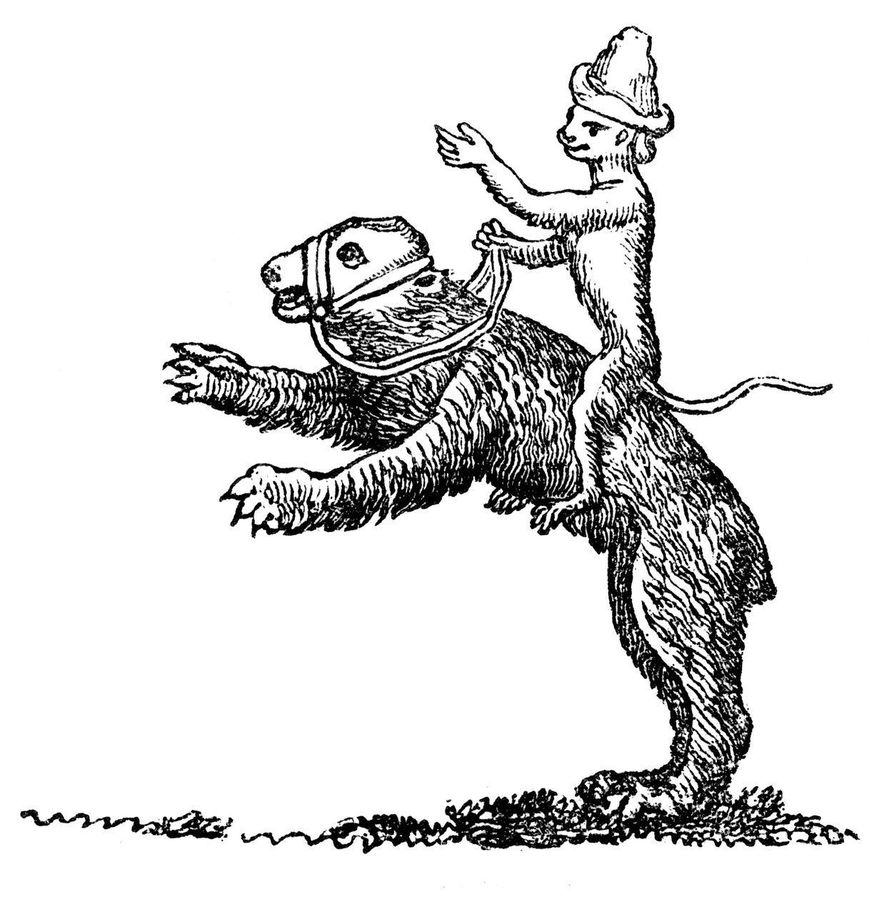 熊与猴子，十三世纪，1833年 作者 不明