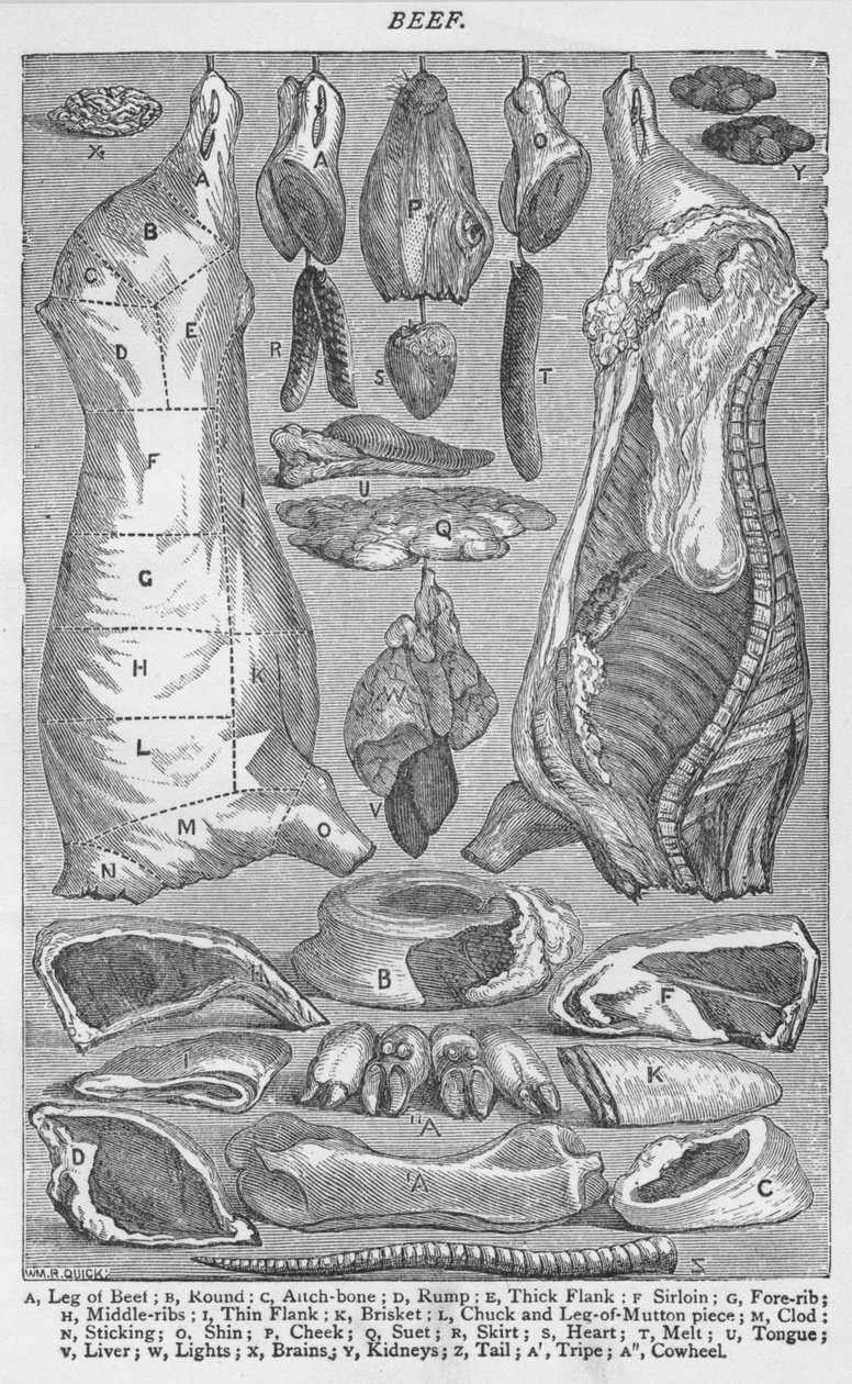 牛肉，1907年，1907年 作者 不明