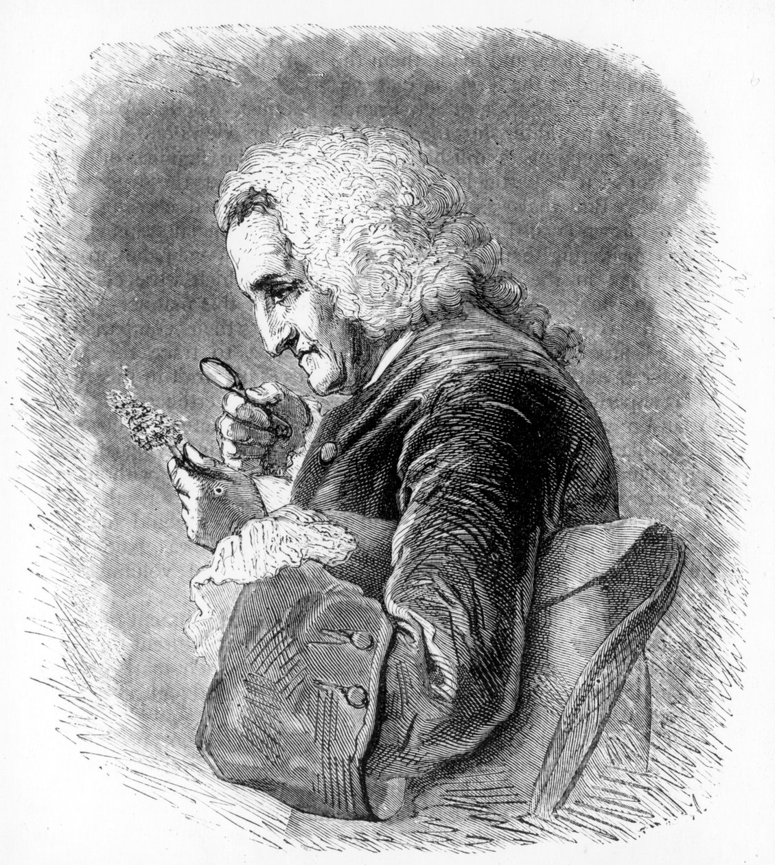 Bernard de Jussieu，18世纪法国植物学家，1880年 作者 不明