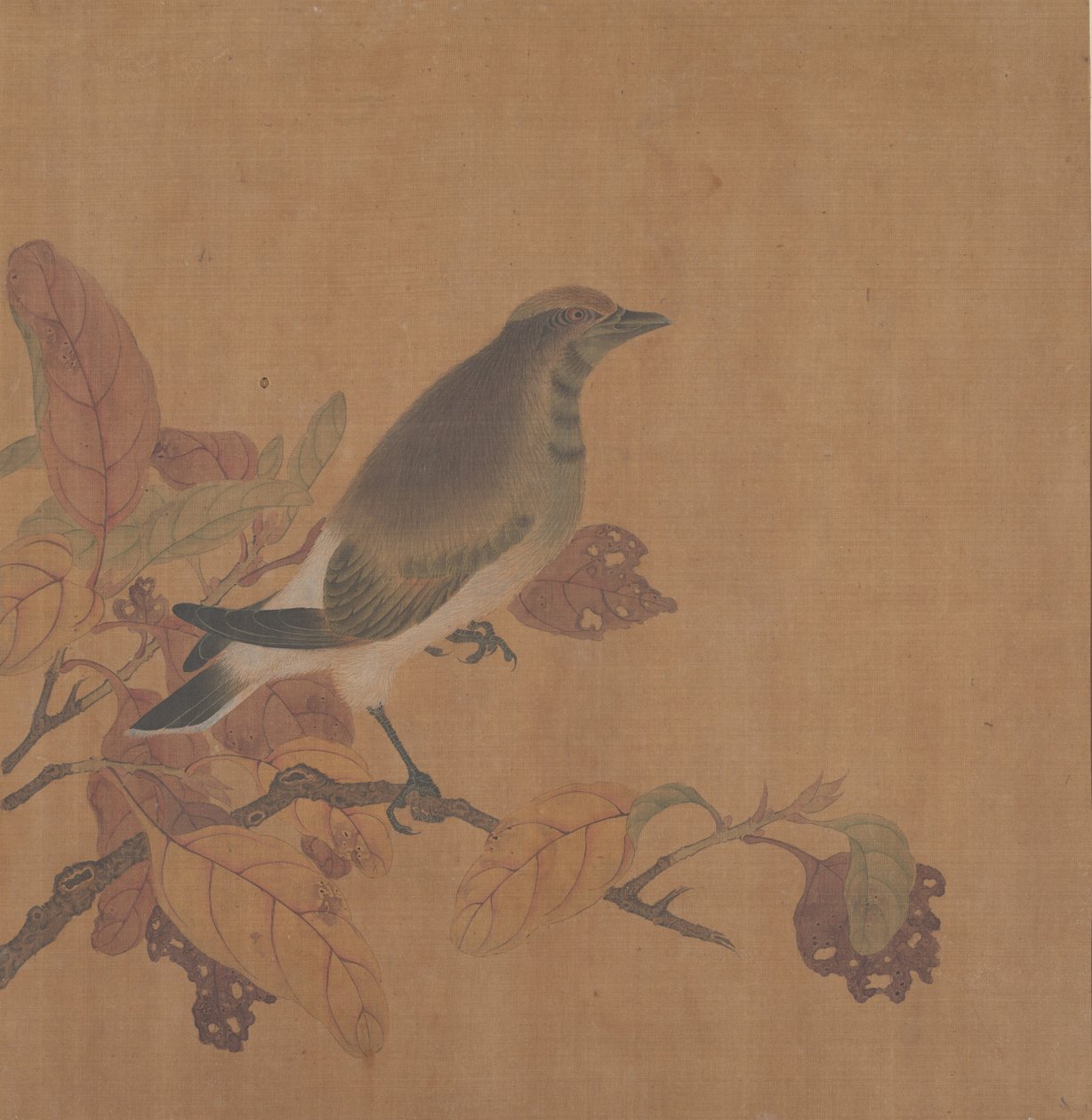 树枝上的鸟。 作者 不明