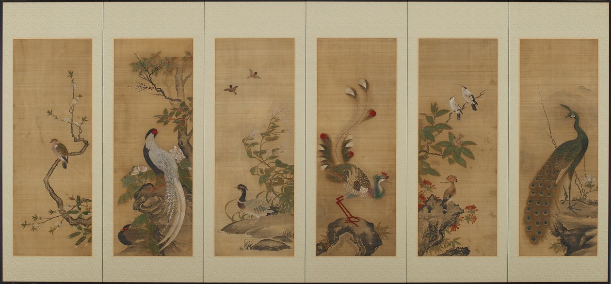 鸟和花，江户时期，18世纪。 作者 不明