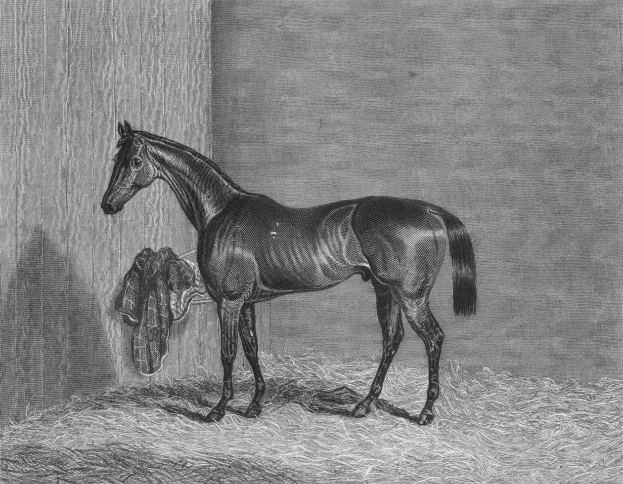 布卢姆斯伯里（Bloomsbury），1836-1861年，1911年 作者 不明