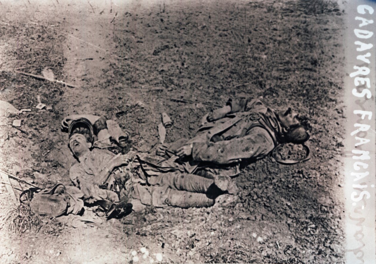 法国已死士兵的尸体，c1914-c1918 作者 不明