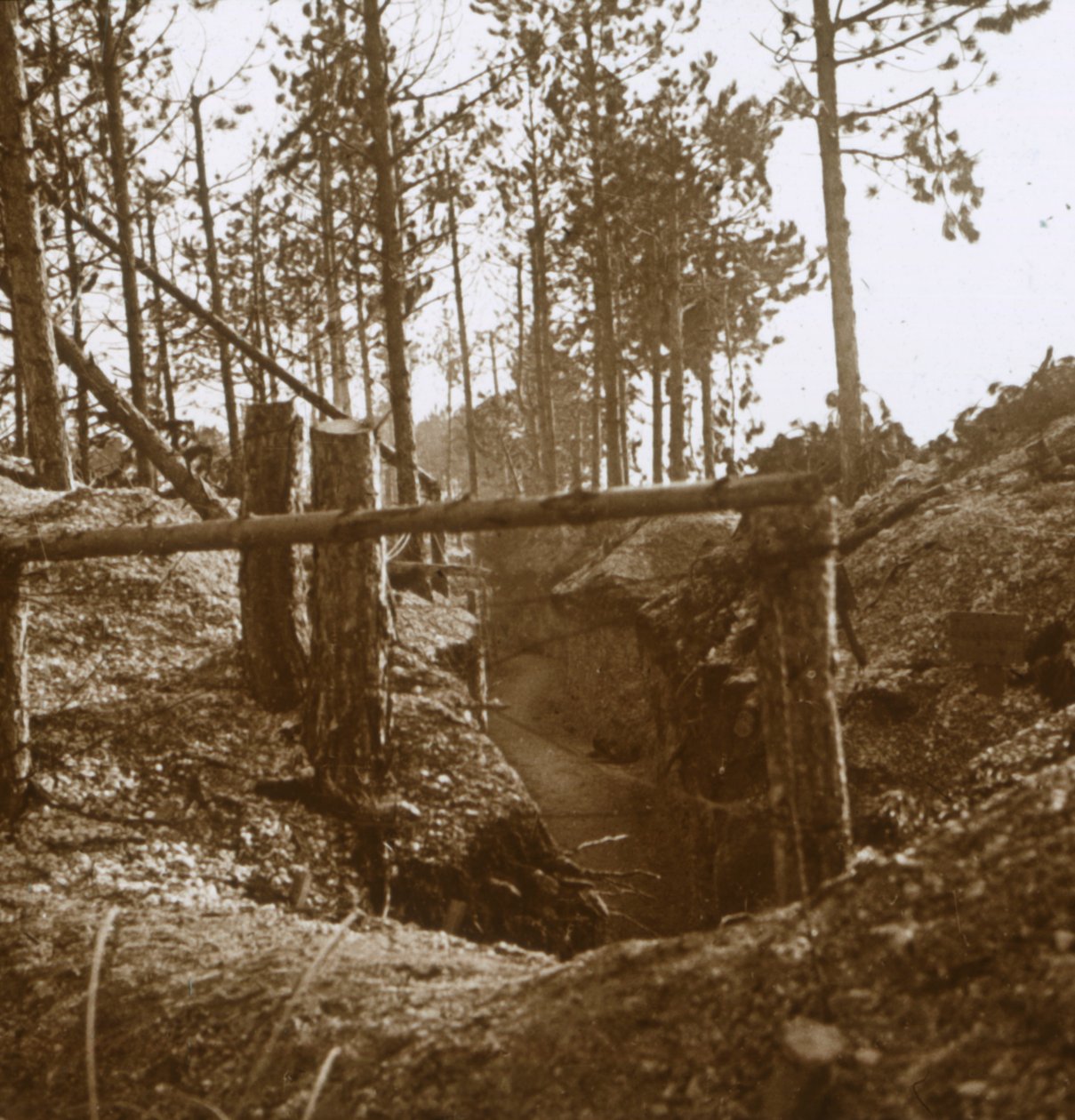 法国北部Bois-le-Prêtre，c1914-c1915 作者 不明