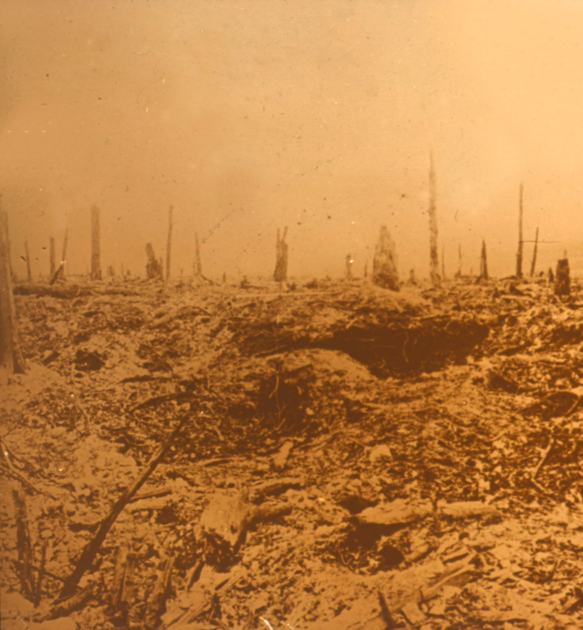 法国北部沃克斯Bois du Chapitre，c1914-c1918 作者 不明