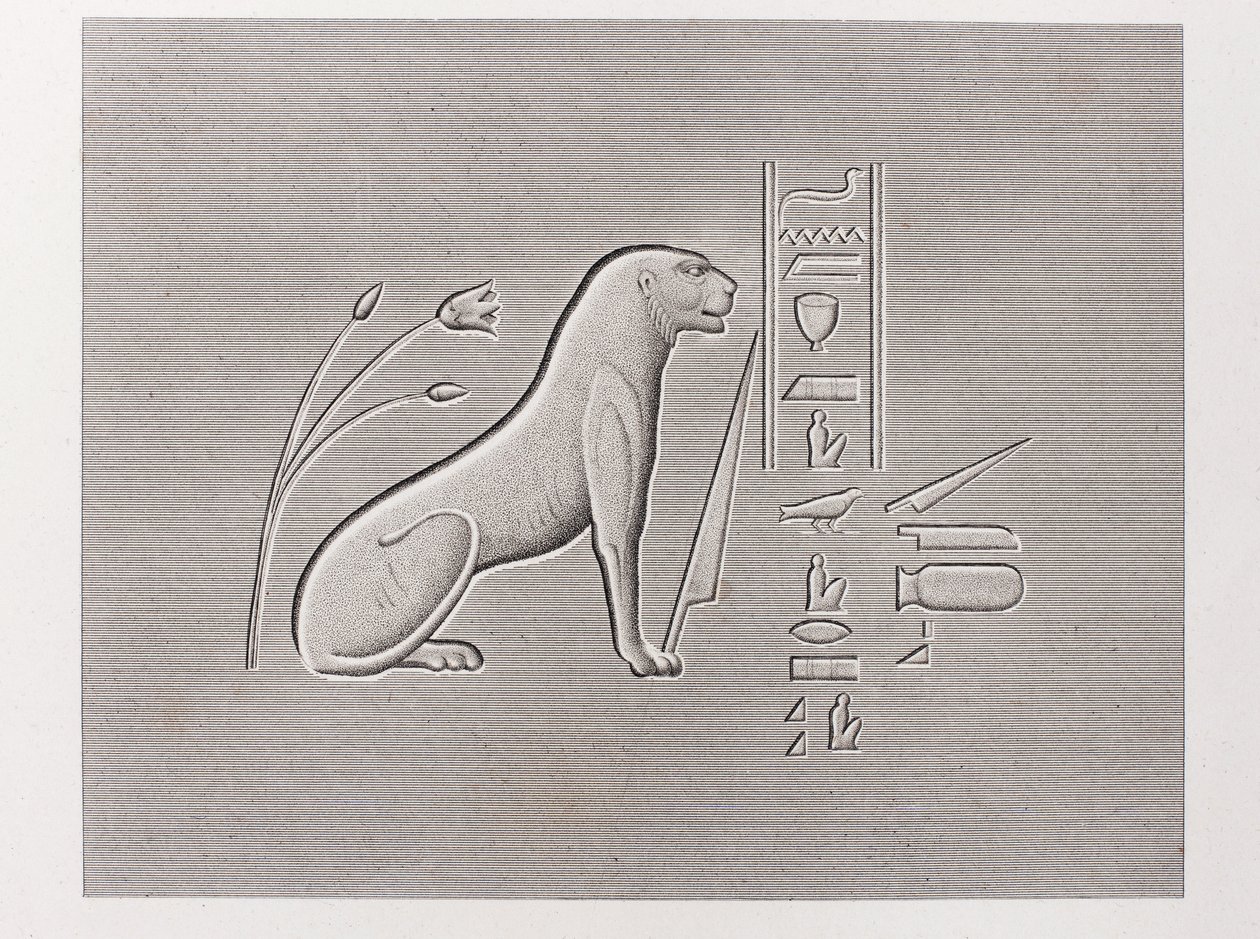 书：埃及描述 作者 不明