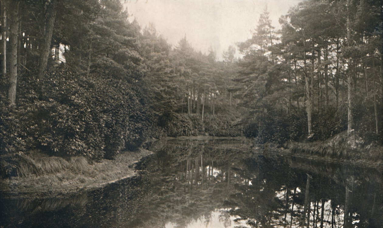 Branksome Chine and Lake，c1910 作者 不明