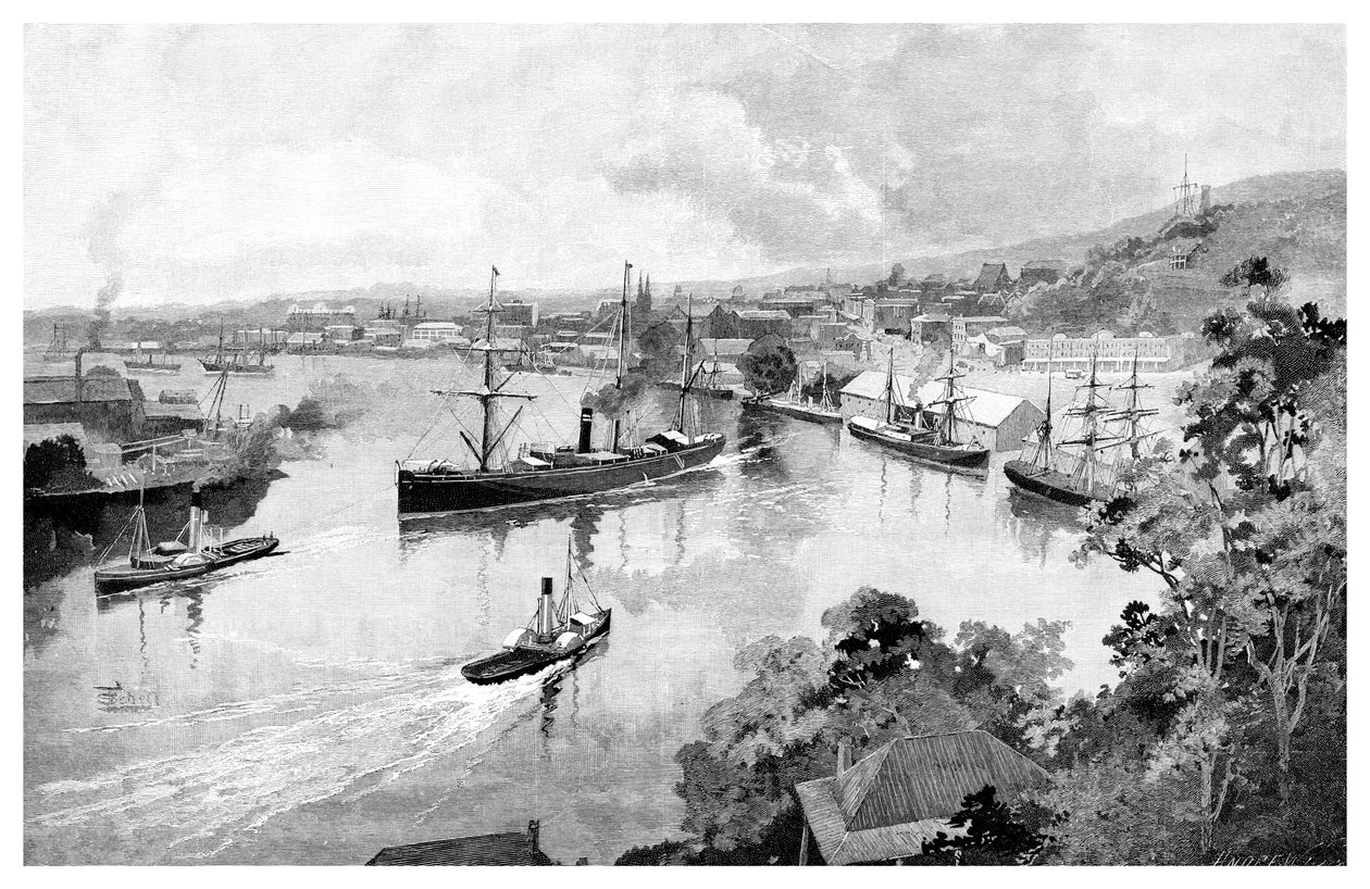布里斯班（Bowen Terrace）的布里斯班（Brisbane），1886年 作者 不明