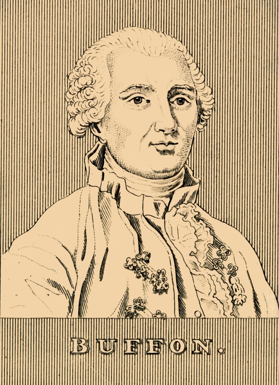 布冯（Buffon），1707-1788，1830年。 作者 不明