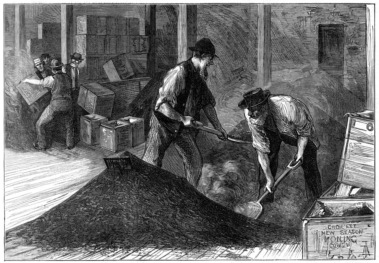 1874年，在茶叶仓库里散装茶叶 作者 不明