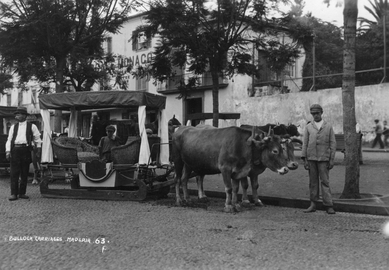 布洛克马车，葡萄牙马德拉，c1920s-c1930s 作者 不明
