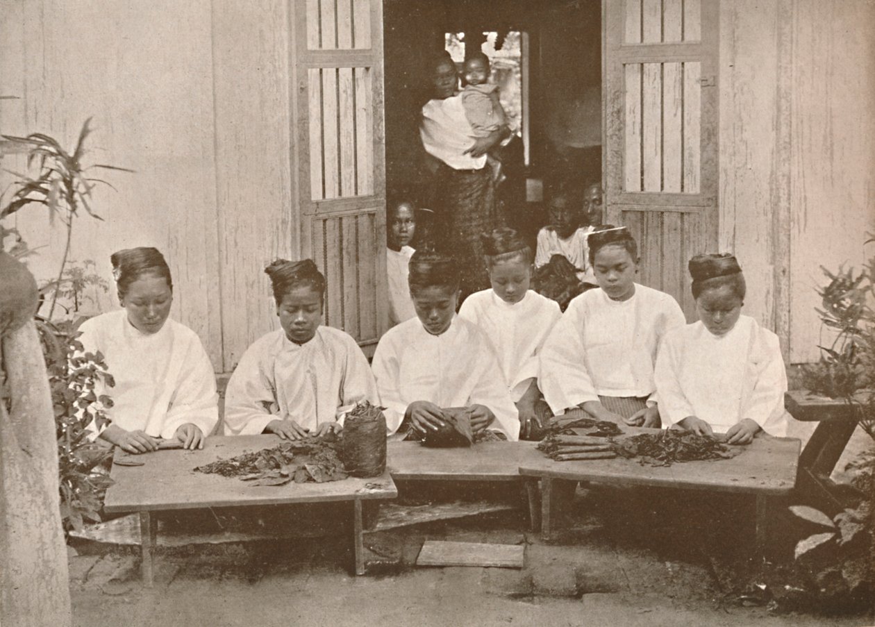 缅甸雪茄制造商，1900年。 作者 不明