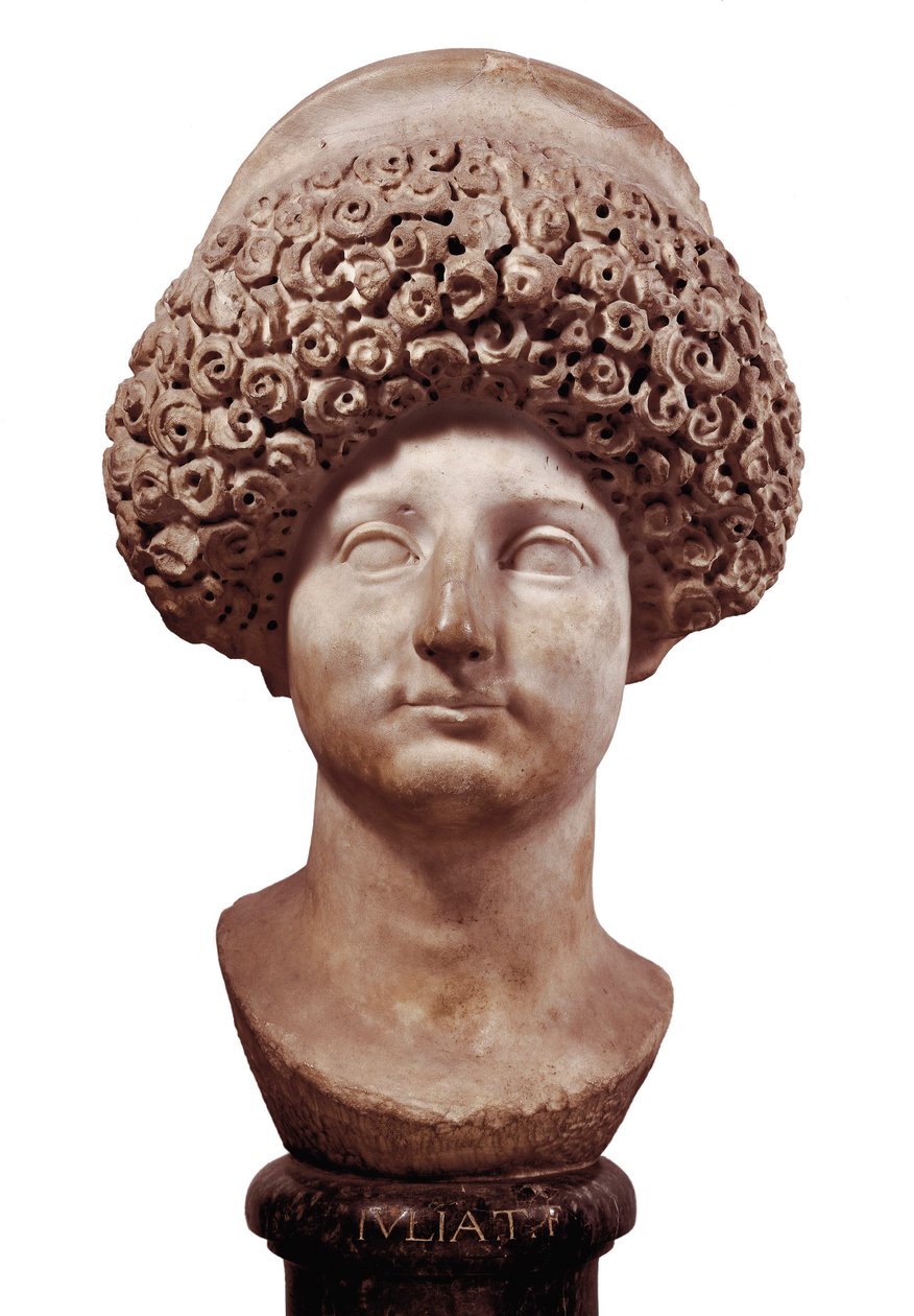 Bust of Julia T.F., Roman art 作者 不明