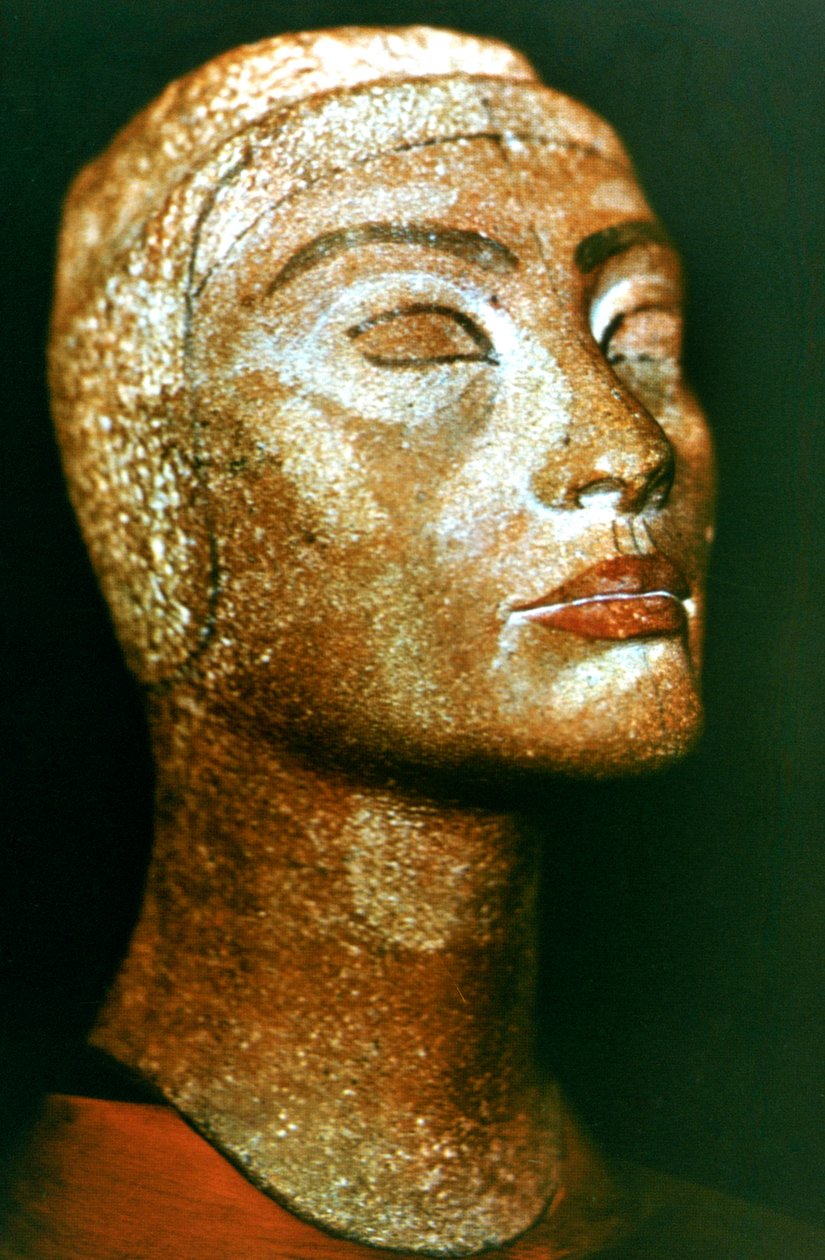 Nefertiti的半身像，古埃及法老王Akhenaten Amenhotep IV的女王和妻子 作者 不明