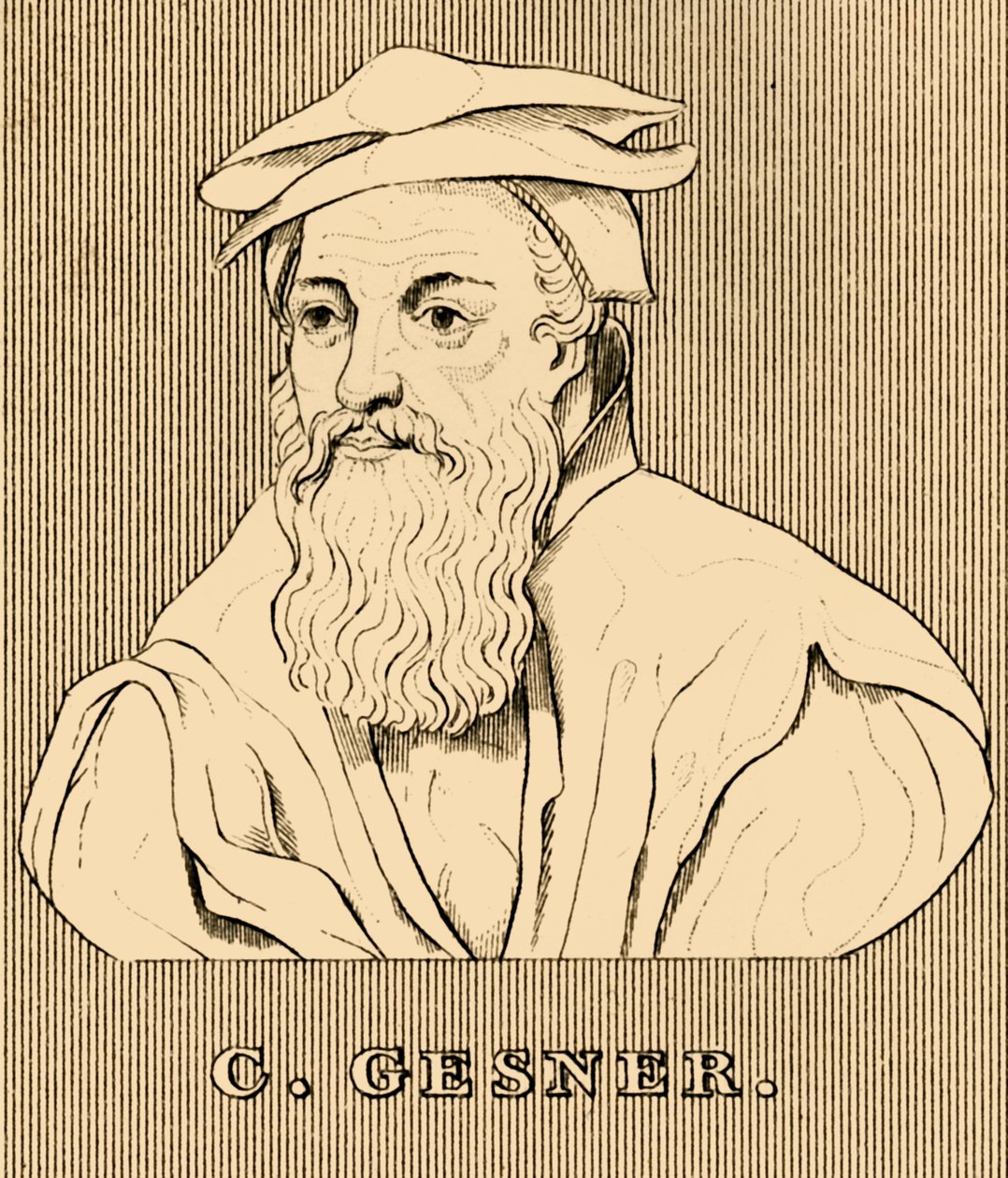 C.格斯纳，1516年至1565年，1830。 作者 不明
