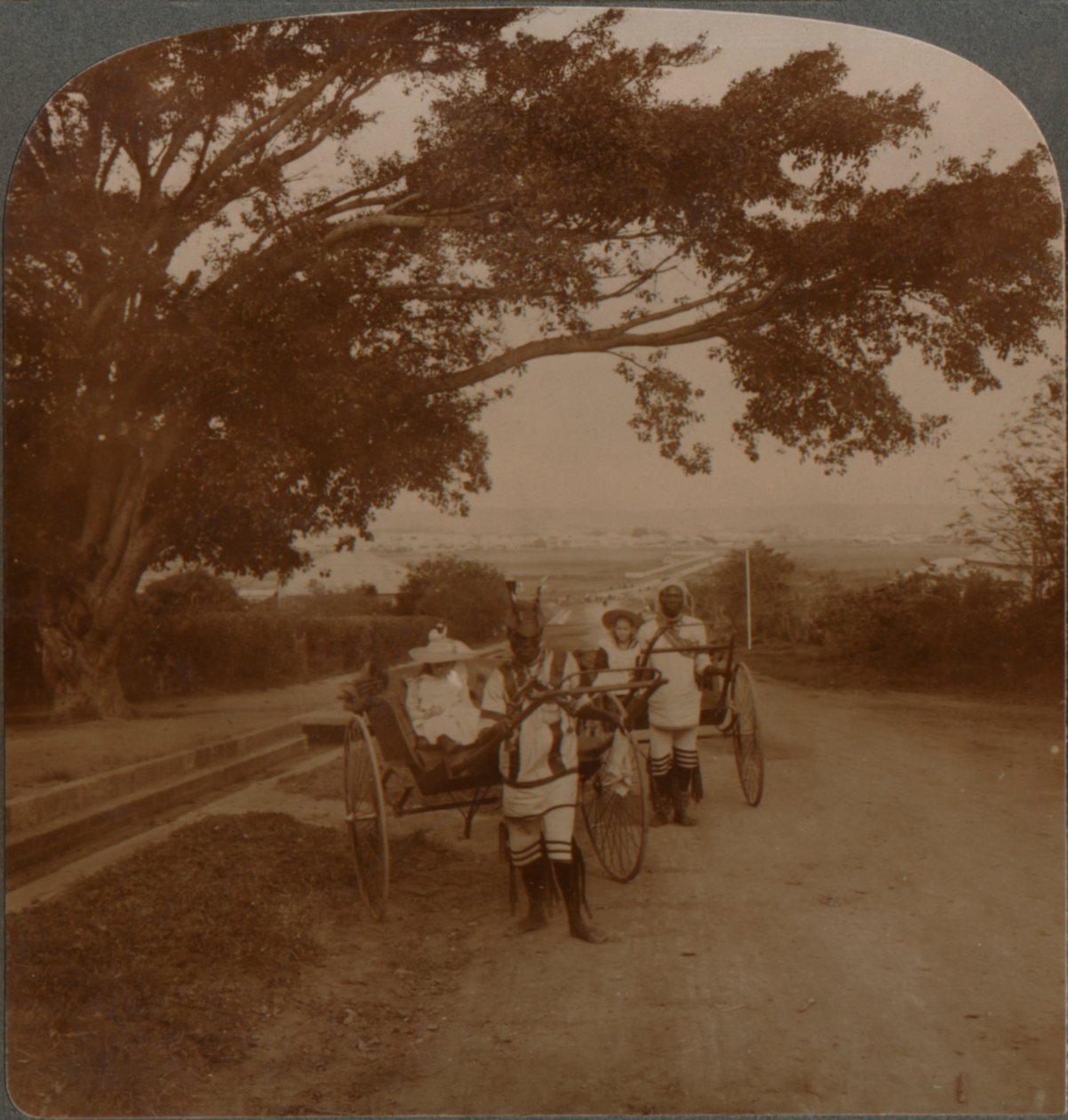 当地居民在居住道路上驾驶的出租车，非洲德班，c1900年 作者 不明