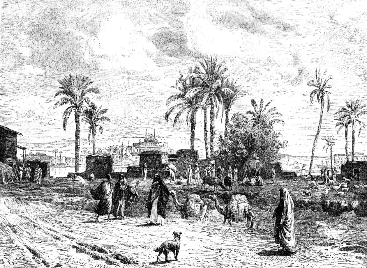 开罗看到尼罗河左岸，1881年 作者 不明