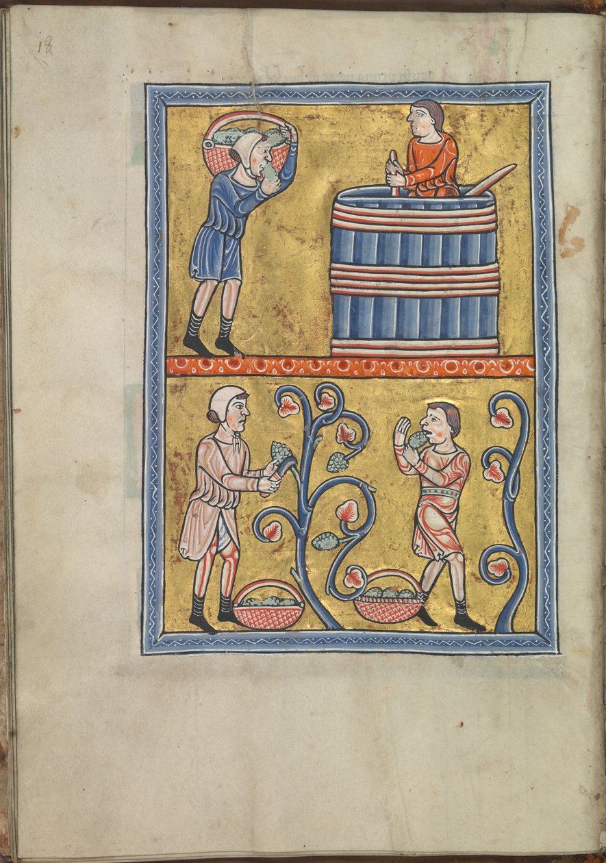 日历，9月，男人采摘和踩葡萄-阿基坦大区埃莉诺诗篇（ca. 1185）-KB 76 F 13，叶面009v 作者 不明