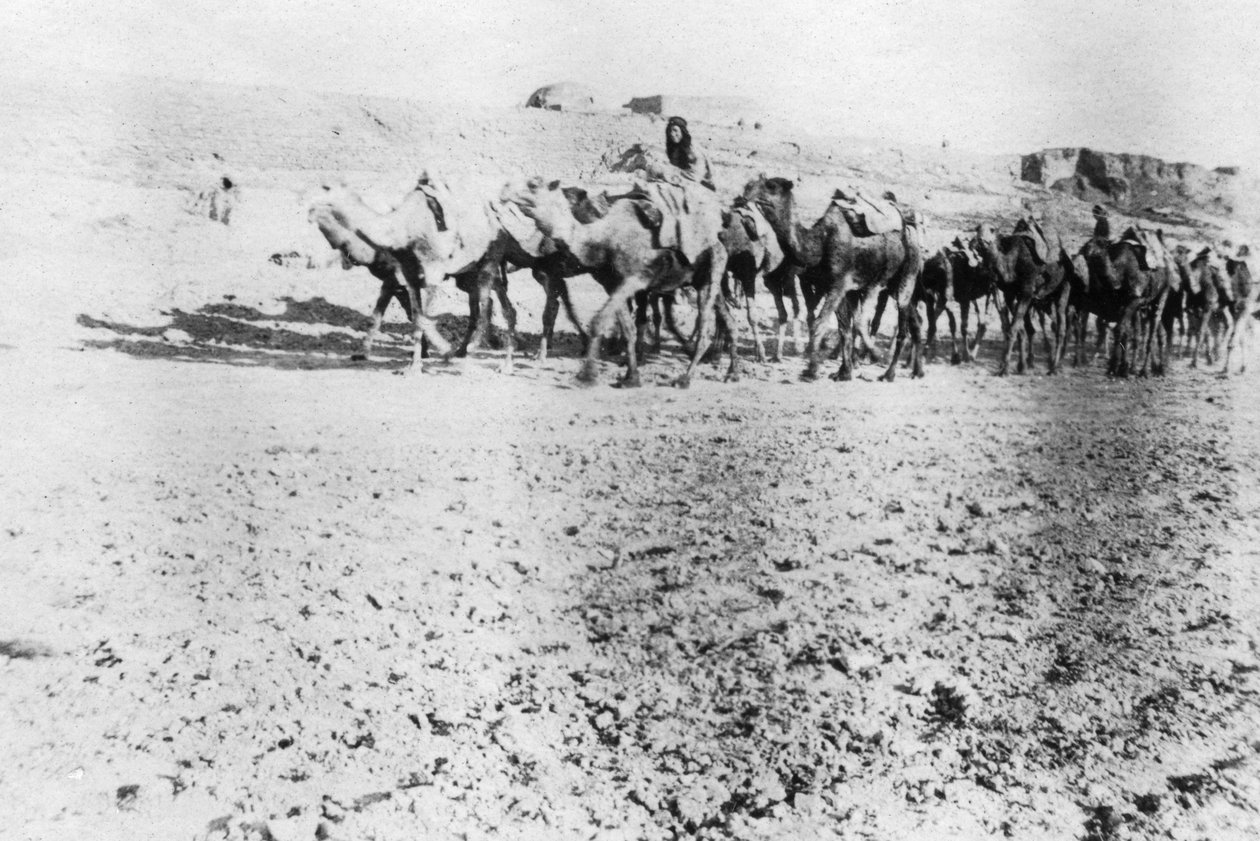 骆驼火车，美索不达米亚摩苏尔，1918年 作者 不明