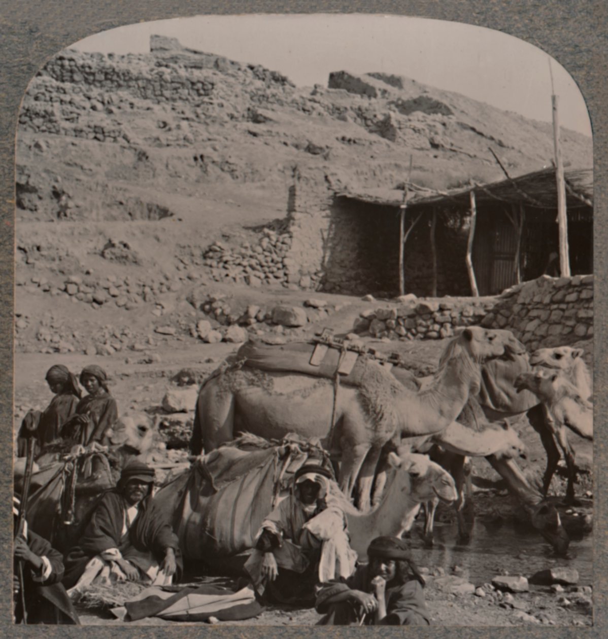 杰拉什（Jerash）的骆驼火车在以利沙喷泉（Elisha Fountain）浇水，摄于1900年 作者 不明