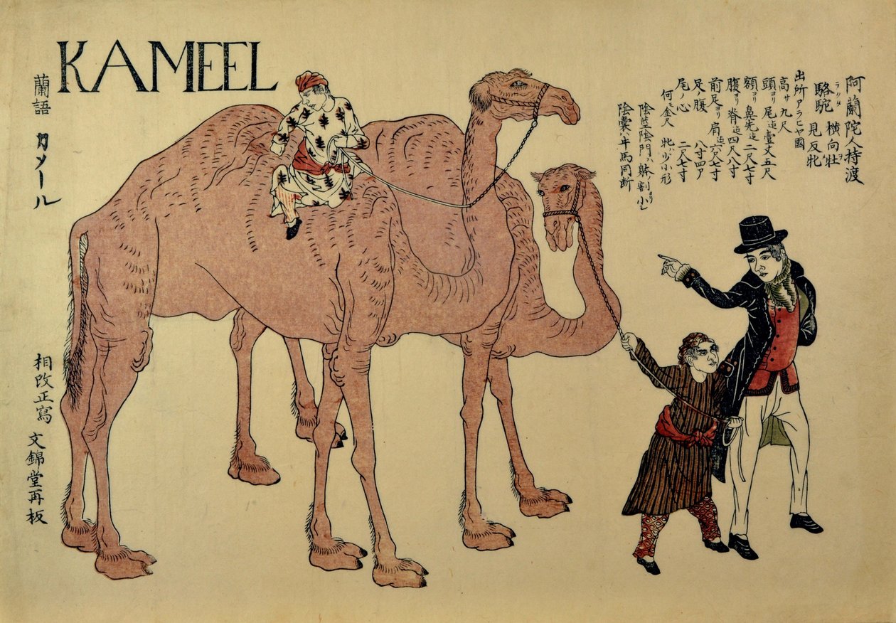 骆驼与荷兰搬运工，约1821年。 作者 不明