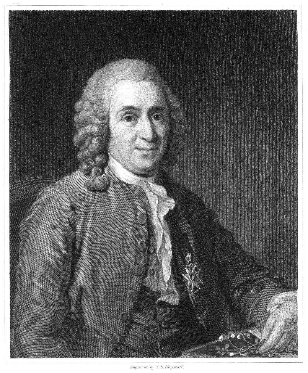 Carolus Linnaeus，18世纪瑞典博物学家，1835年 作者 不明