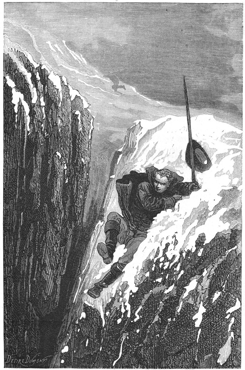 Carolus Linnaeus，18世纪瑞典科学家和博物学家，1874年 作者 不明
