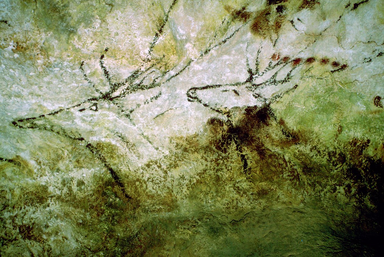 来自拉斯科的 "游泳鹿 "洞窟画，约公元前15000年 作者 不明