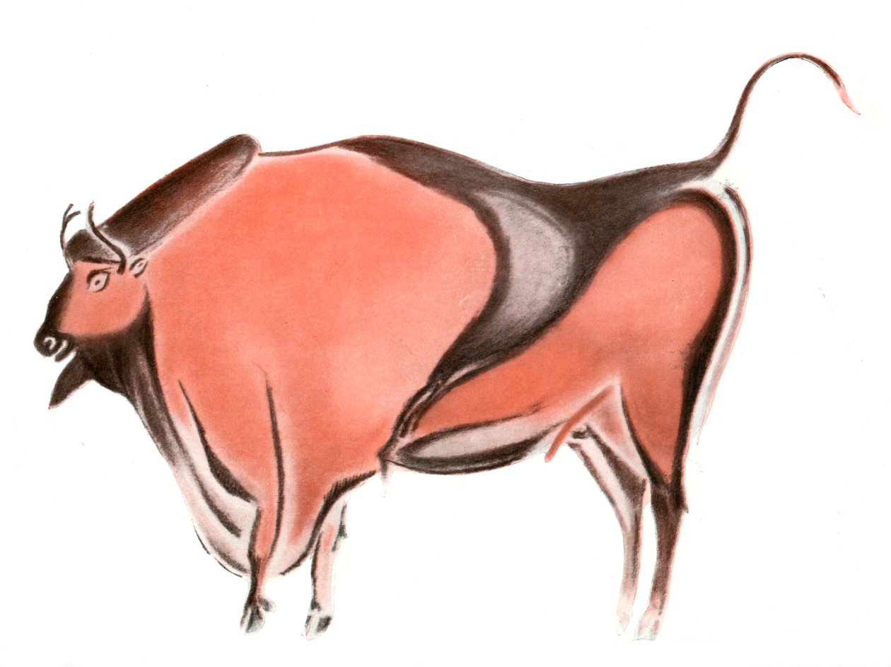1933-1934年，西班牙阿尔塔米拉洞穴的野牛洞穴画 作者 不明