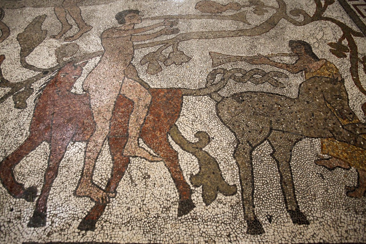 Central nave mosaic on the floor of Otranto duomo : riders, Otranto, Italie 作者 不明