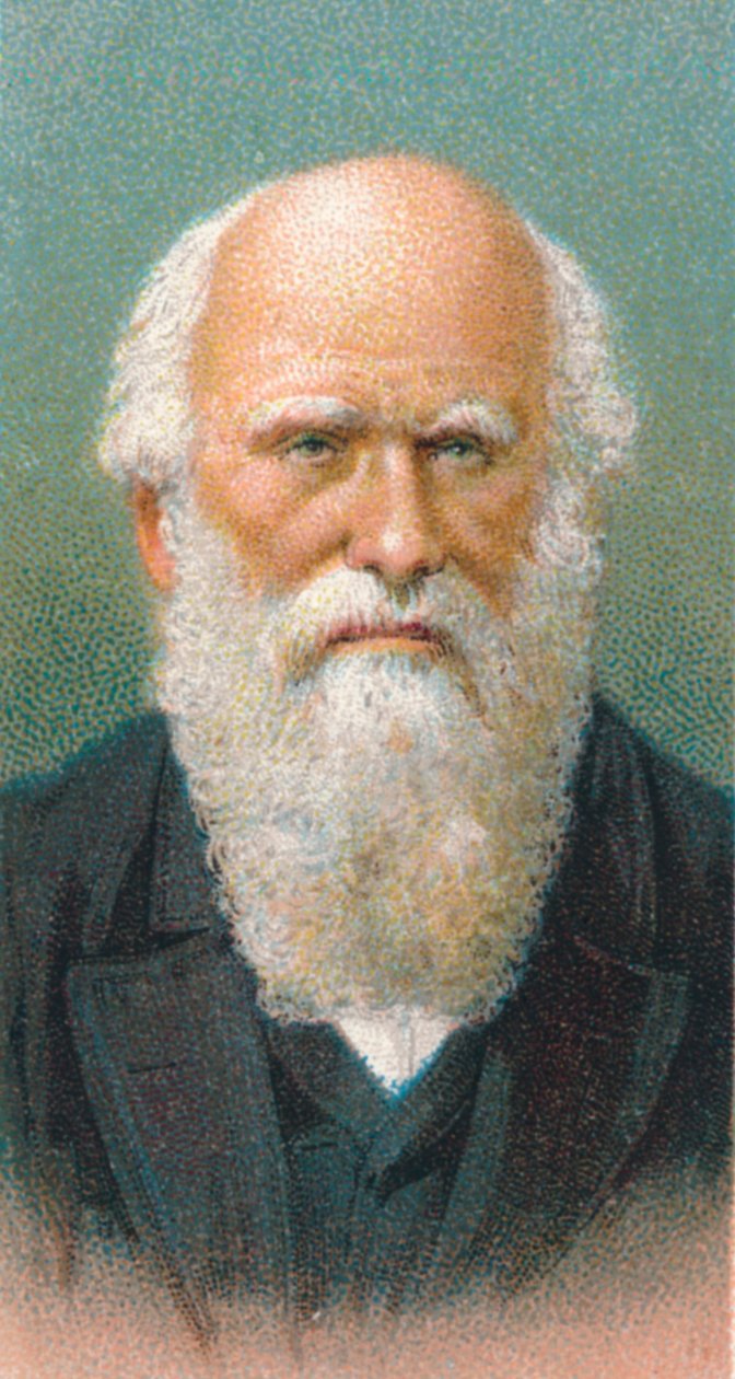 查尔斯·达尔文（Charles Darwin）1809-1882，英国博物学家，1924年 作者 不明