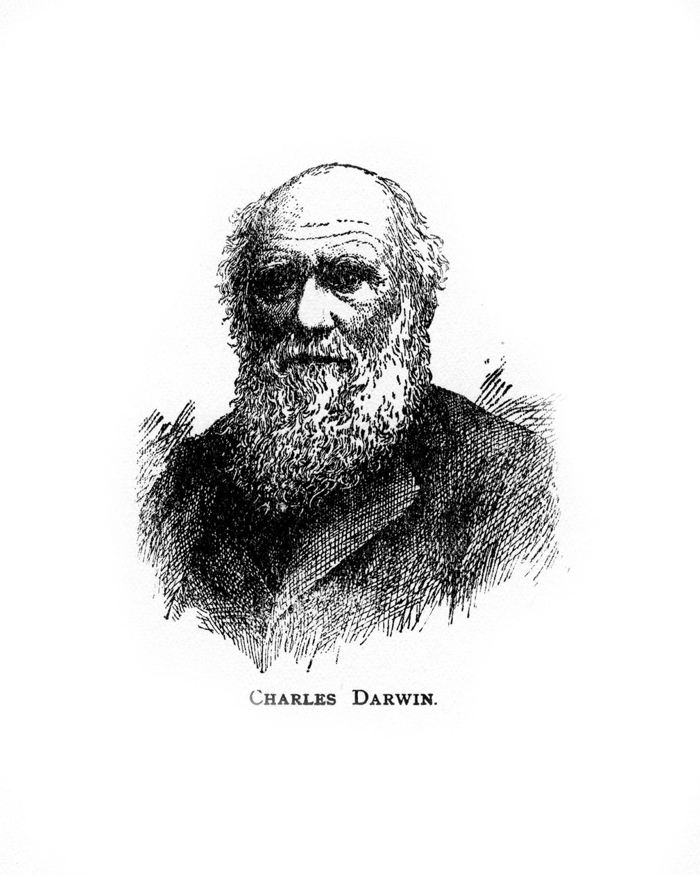 查尔斯·达尔文（Charles Darwin），十九世纪英国博物学家，二十世纪 作者 不明