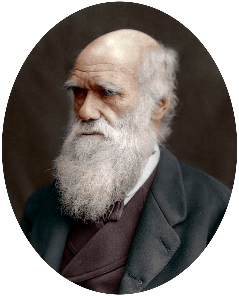 英国博物学家查尔斯·达尔文（Charles Darwin），1878年 作者 不明