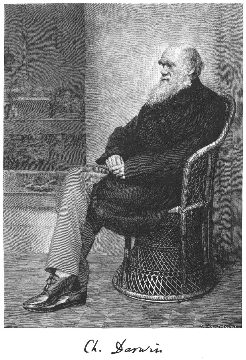 查尔斯·达尔文（Charles Darwin），英国自然主义者，1883年 作者 不明