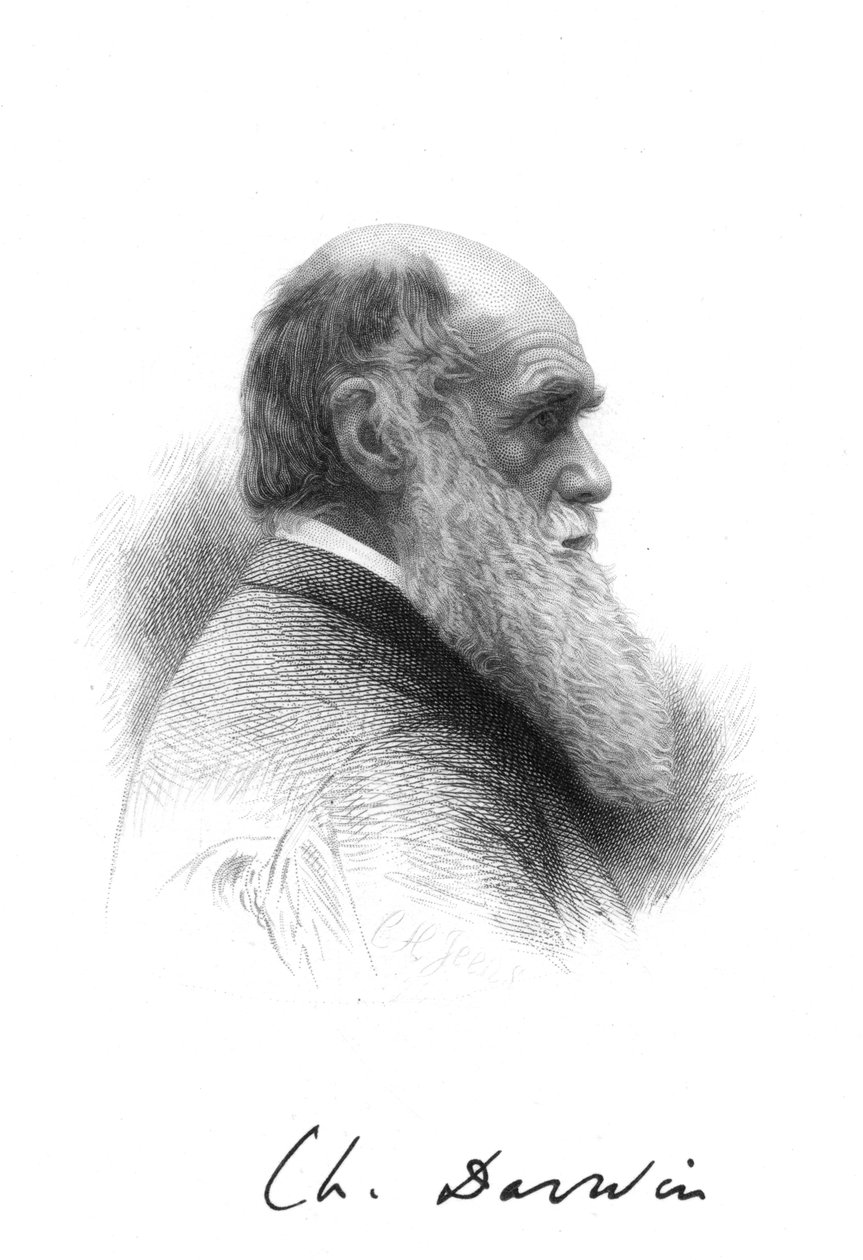 查尔斯·达尔文（Charles Darwin），英国自然主义者，c1880 作者 不明