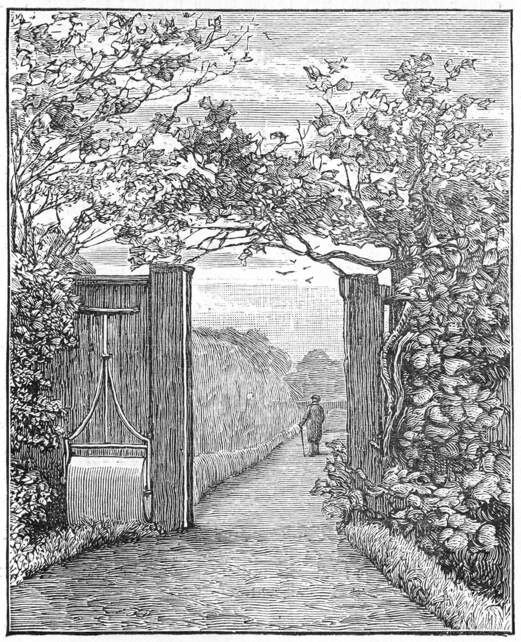 查尔斯·达尔文（Charles Darwin）在唐人街的沙丘漫步（c1870 1887） 作者 不明