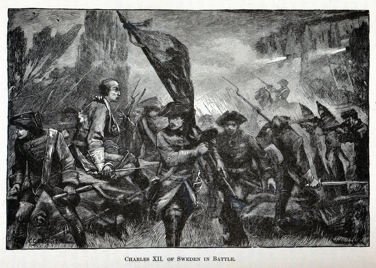 瑞典在战役中的查理十二世（Charles XII），1882年 作者 不明