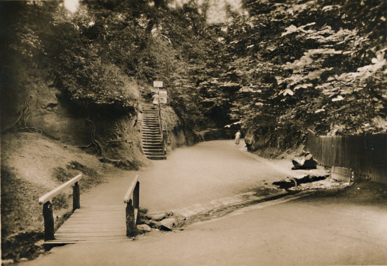 Chine Hollow，尚克林，IW，c1920。 作者 不明