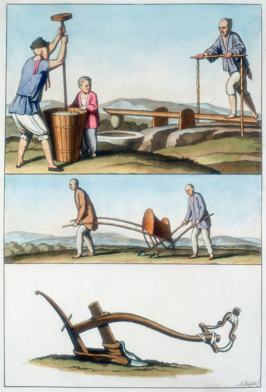 中国农业，1825-1835年 作者 不明