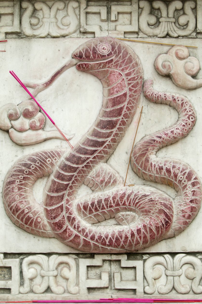 Chinese astrological sign. White cloud temple Beijing China 作者 不明