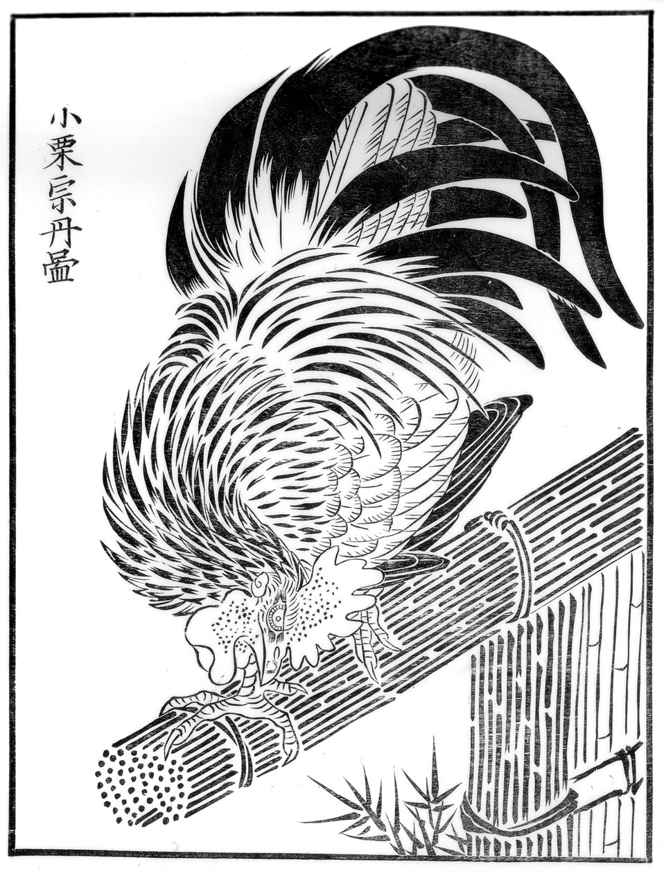 公鸡，十五世纪，1886年 作者 不明