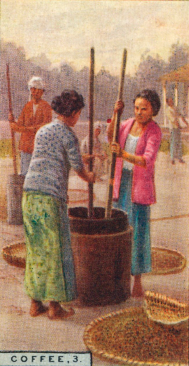 《咖啡》，第3期。《脱壳》，爪哇，1928年 作者 不明