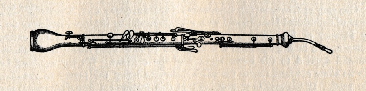 英国号角，1895年。 作者 不明