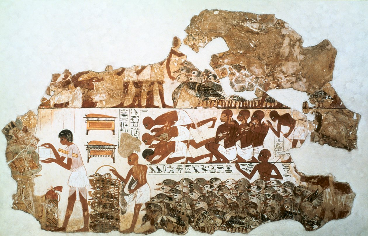 数鹅：埃及底比斯的尼巴蒙墓壁画碎片，约公元前1350年 作者 不明