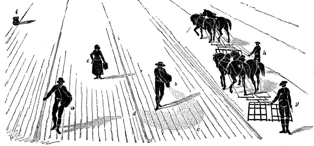 轮作：玉米播种和耙地，1855年 作者 不明
