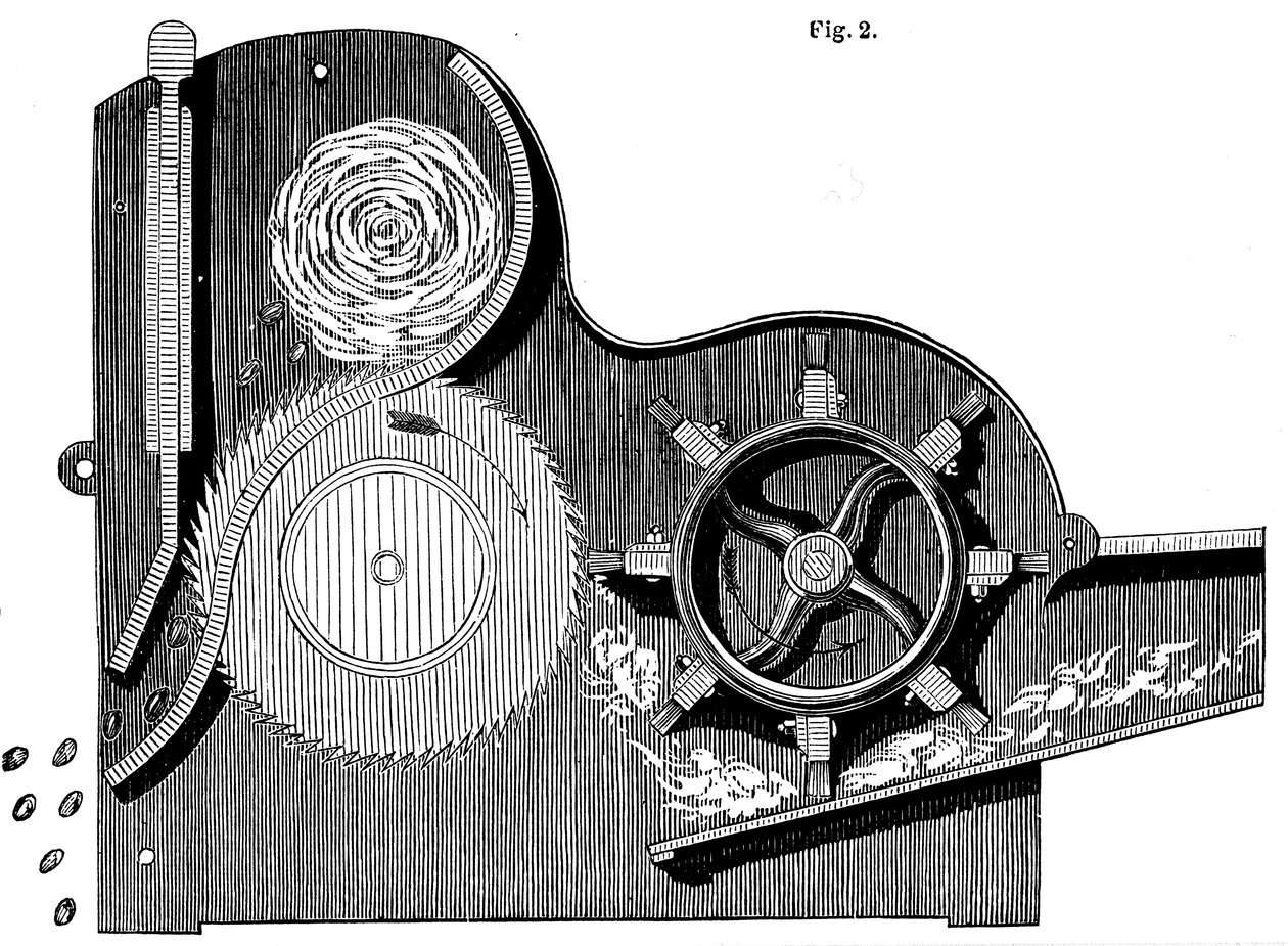 伊丽·惠特尼（Eli Whitneys）1765-1825锯齿轧花机的横截面，用于清洁棉花，1865年 作者 不明